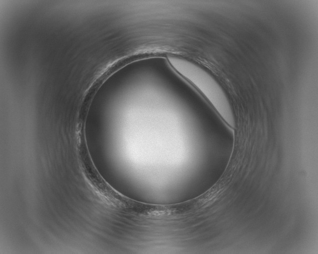 X0000056030160200508191001