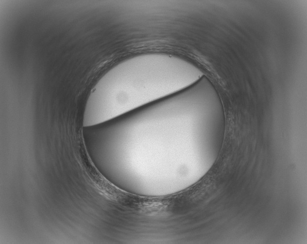 X0000056030161200508191001