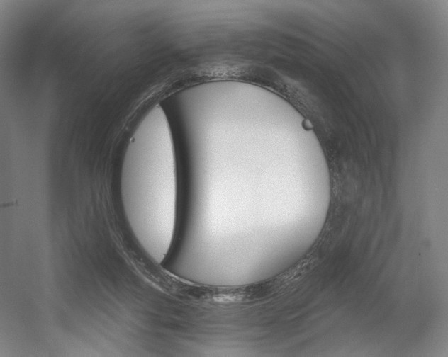 X0000056030163200508191001