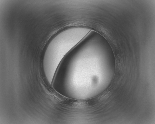 X0000056030164200508191001