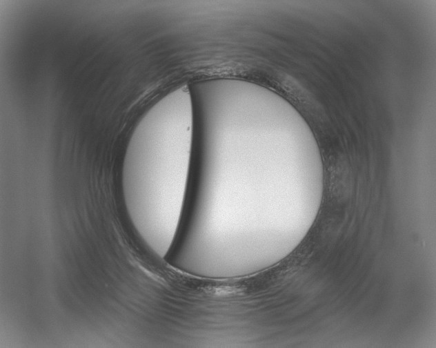 X0000056030165200508191001