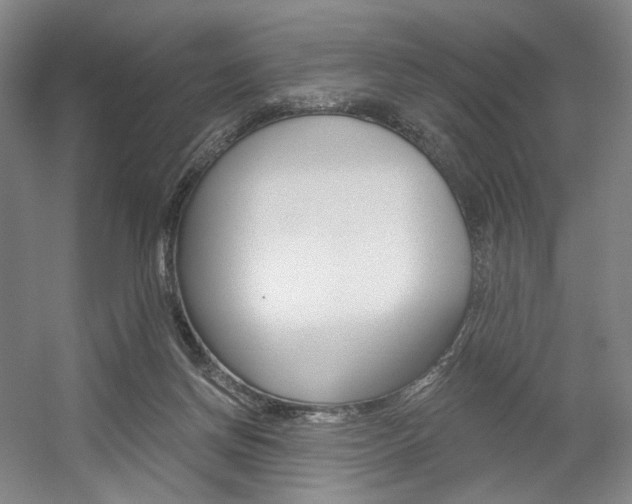 X0000056030166200508191001