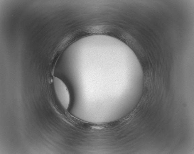 X0000056030167200508191001