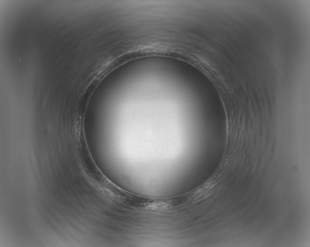 X0000056030168200508191001