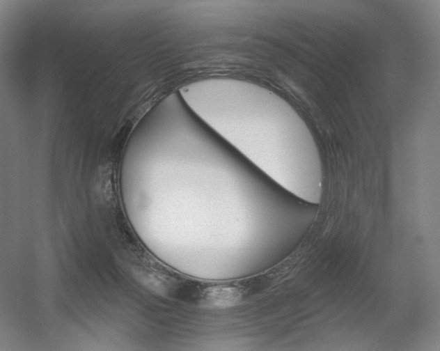 X0000056030169200508191001