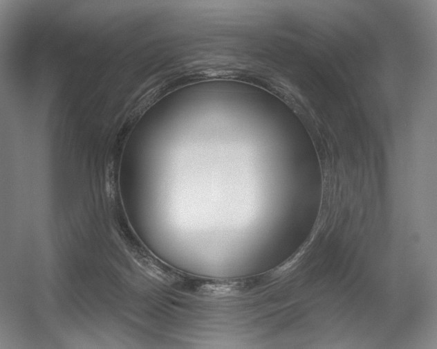 X0000056030170200508191001