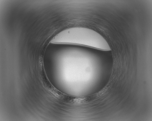 X0000056030172200508191001