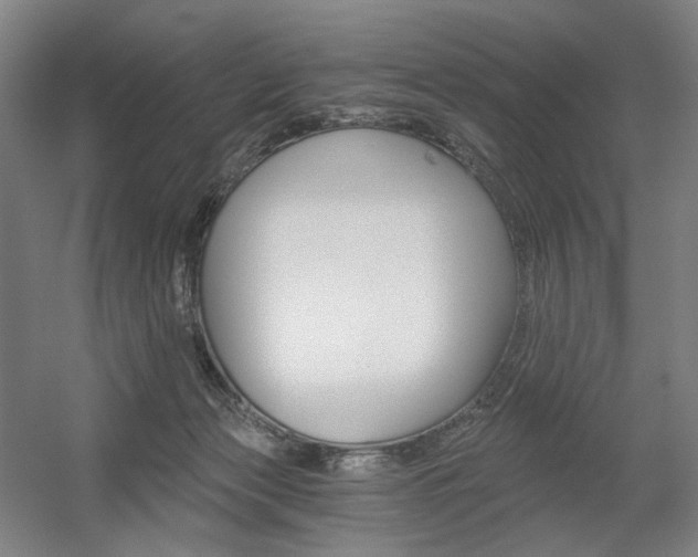 X0000056030173200508191001