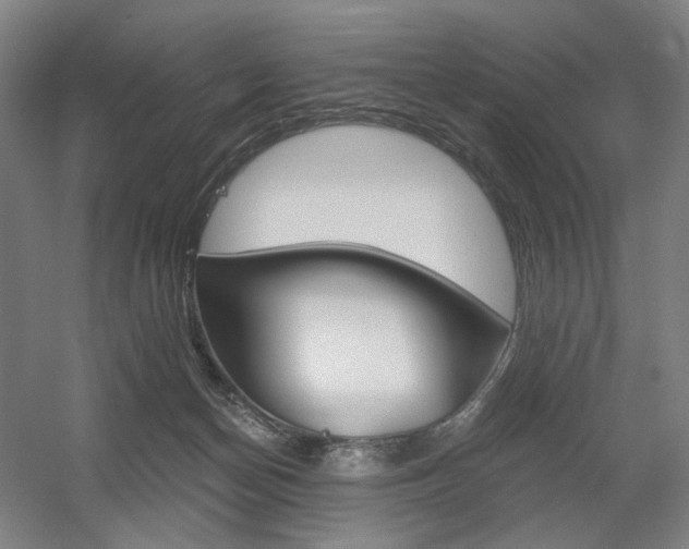 X0000056030174200508191002