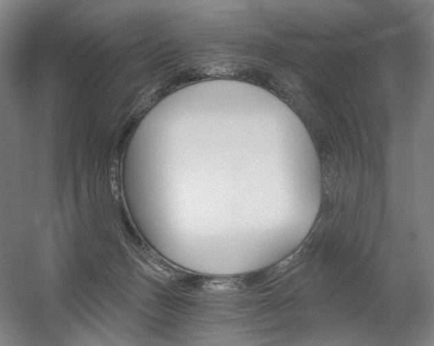 X0000056030175200508191002