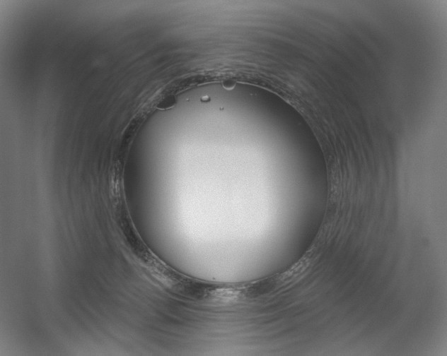 X0000056030176200508191002