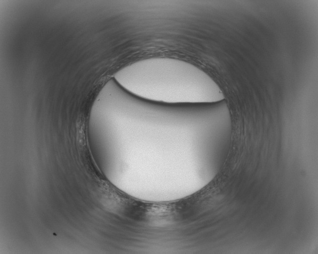 X0000056030177200508191002