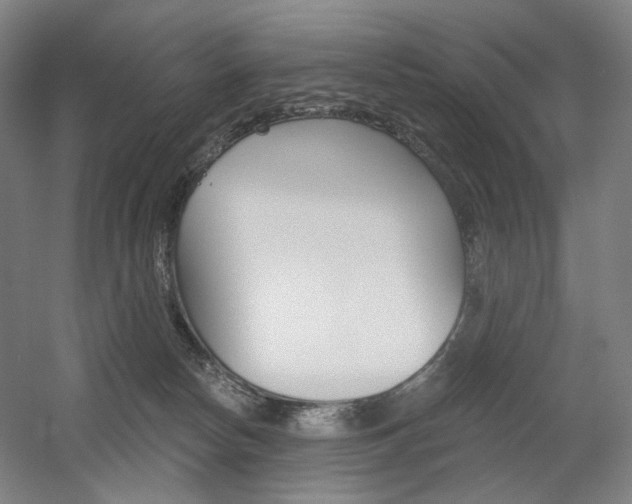 X0000056030178200508191002