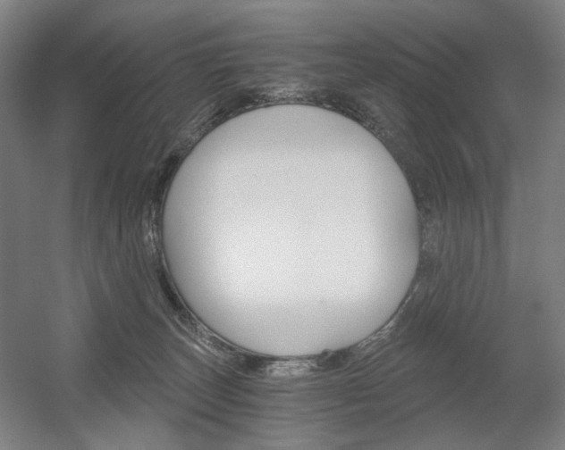 X0000056030179200508191002