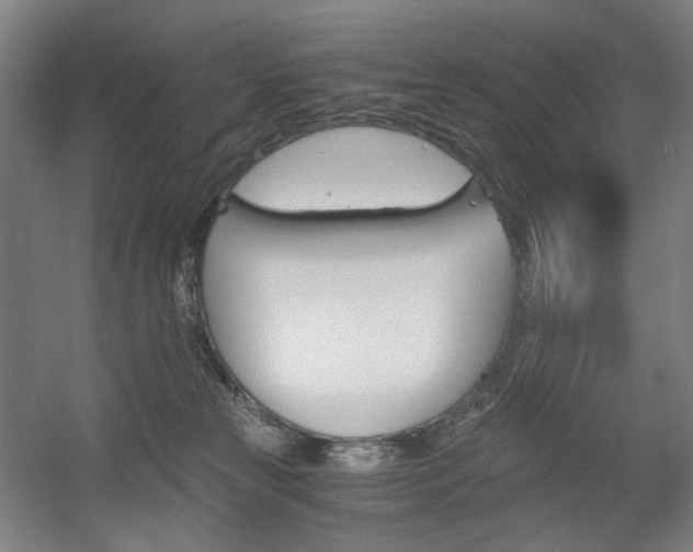 X0000056030181200508191002