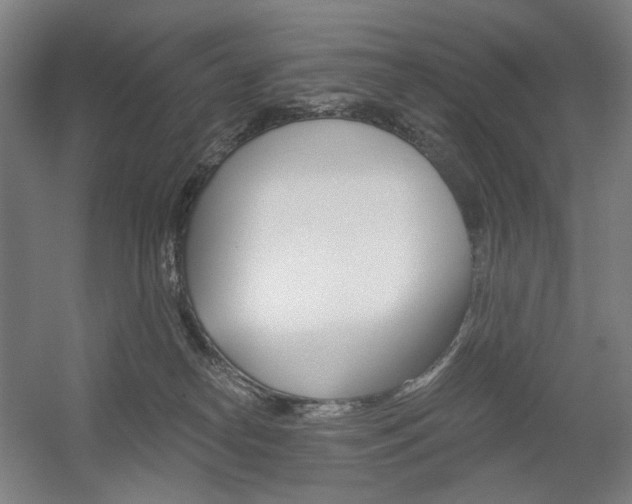 X0000056030182200508191002