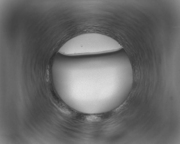 X0000056030183200508191002