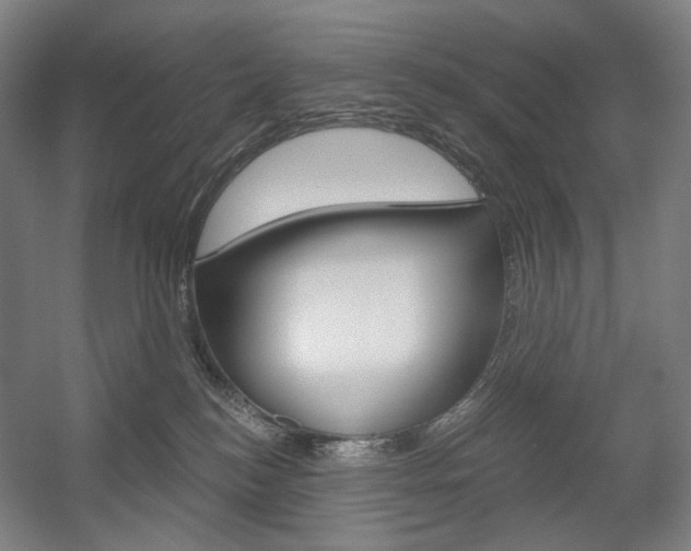 X0000056030184200508191002