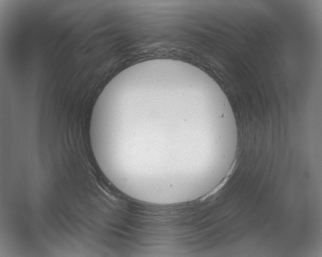 X0000056030186200508191002