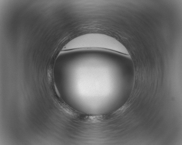 X0000056030188200508191002