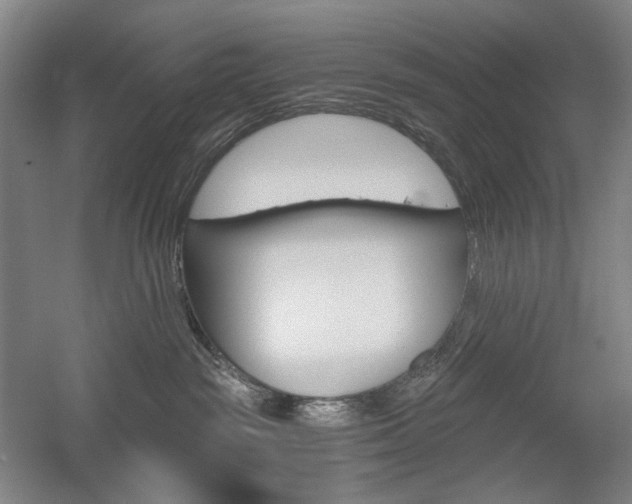 X0000056030189200508191002