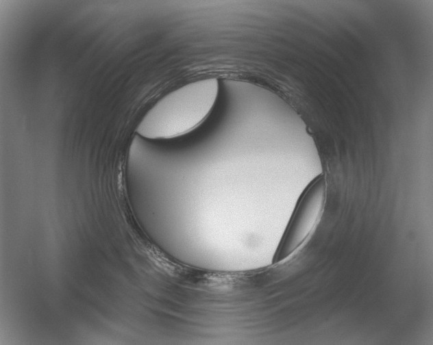 X0000056030190200508191002