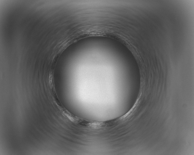 X0000056030192200508191002