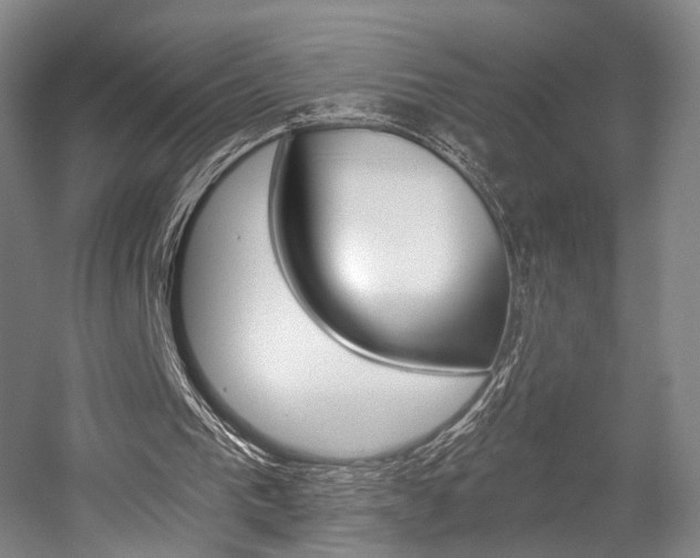 X0000056030193200508191001