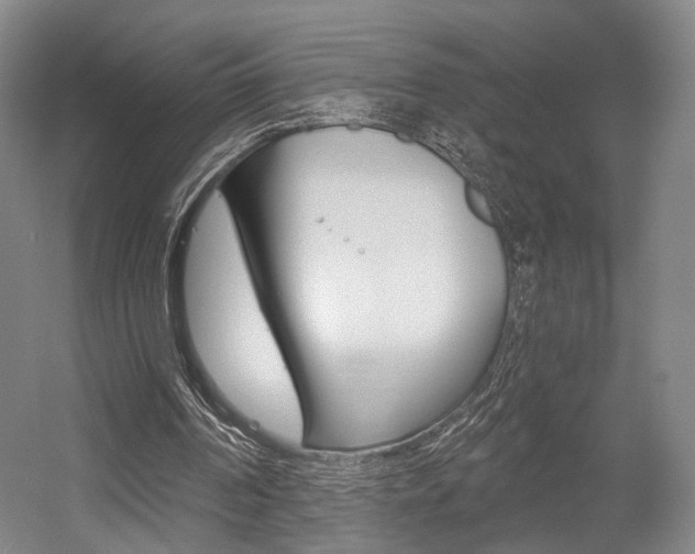 X0000056030194200508191001