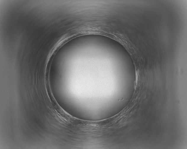 X0000056030195200508191001