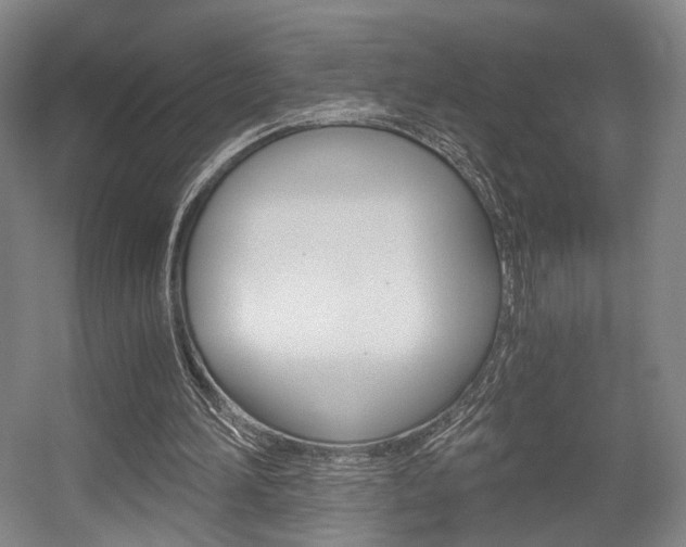 X0000056030196200508191001