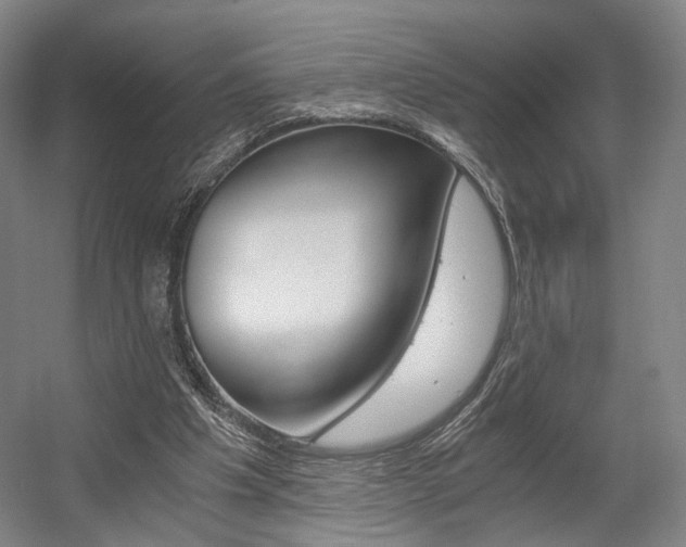 X0000056030201200508191001