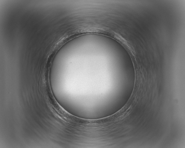 X0000056030203200508191001