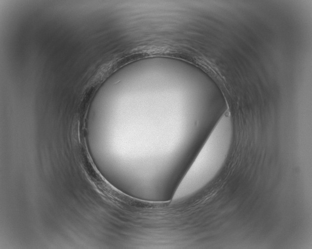 X0000056030205200508191001