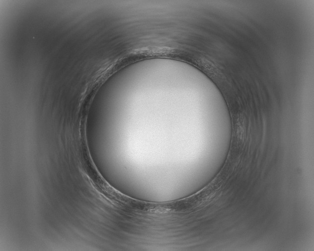 X0000056030206200508191001