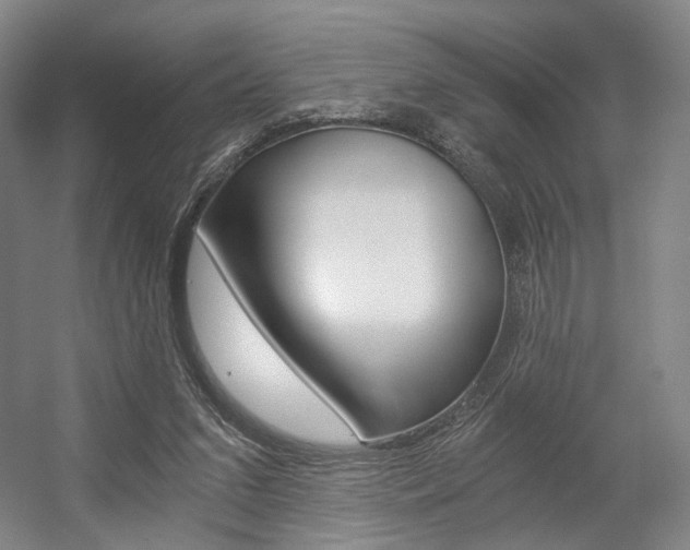 X0000056030207200508191001