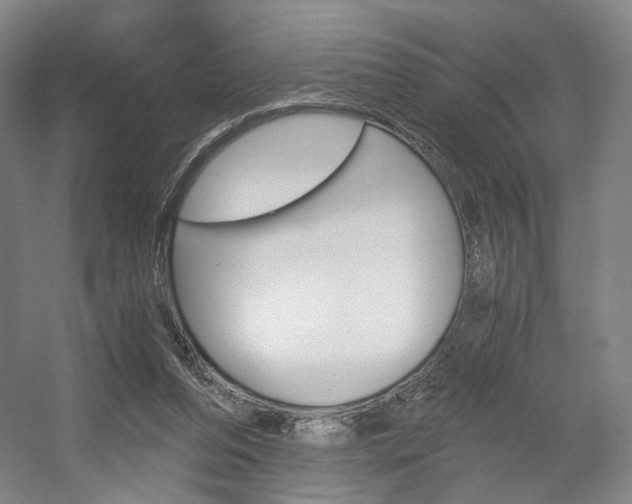 X0000056030208200508191001