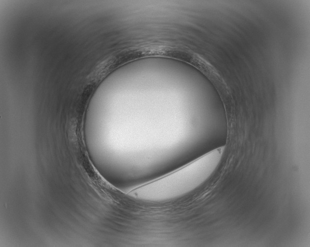 X0000056030209200508191001