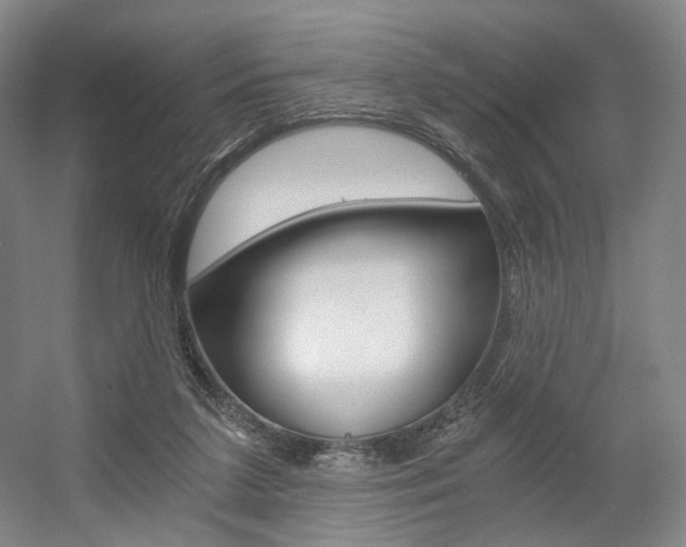 X0000056030211200508191001