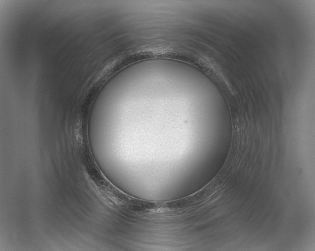 X0000056030212200508191001