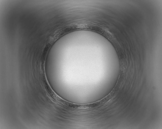 X0000056030213200508191001