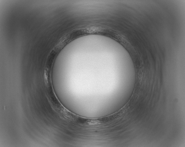 X0000056030214200508191001
