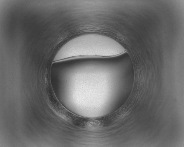 X0000056030215200508191001
