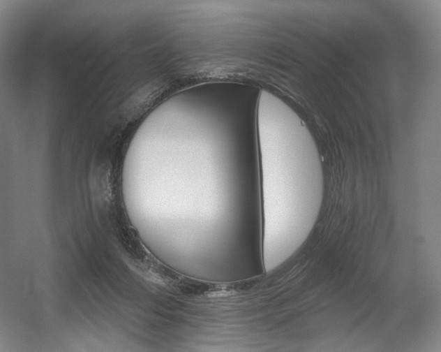 X0000056030216200508191001