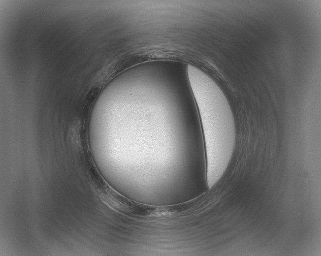 X0000056030217200508191001