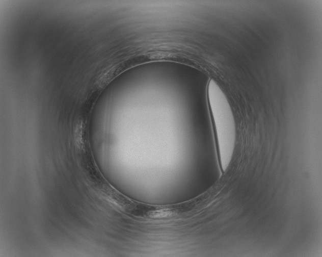 X0000056030219200508191001