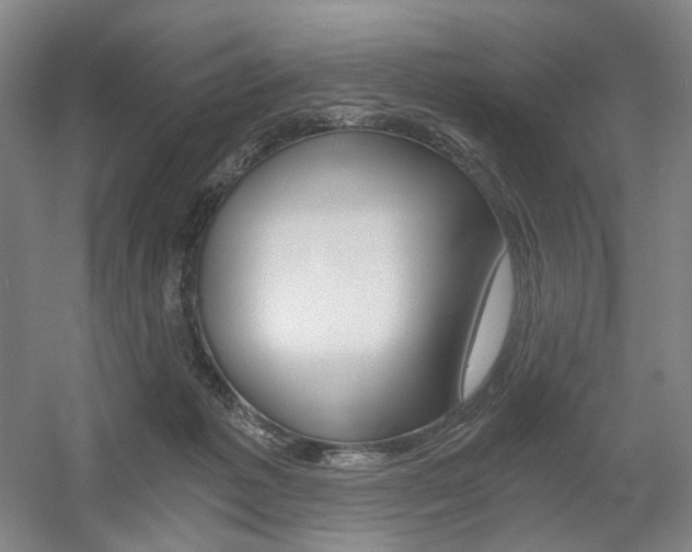 X0000056030221200508191001