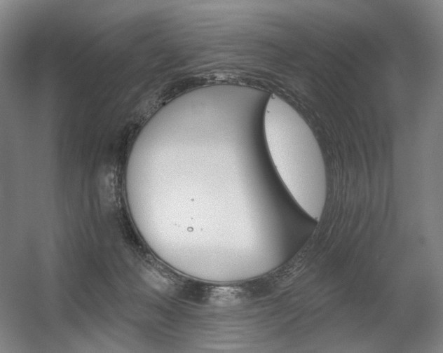 X0000056030222200508191001