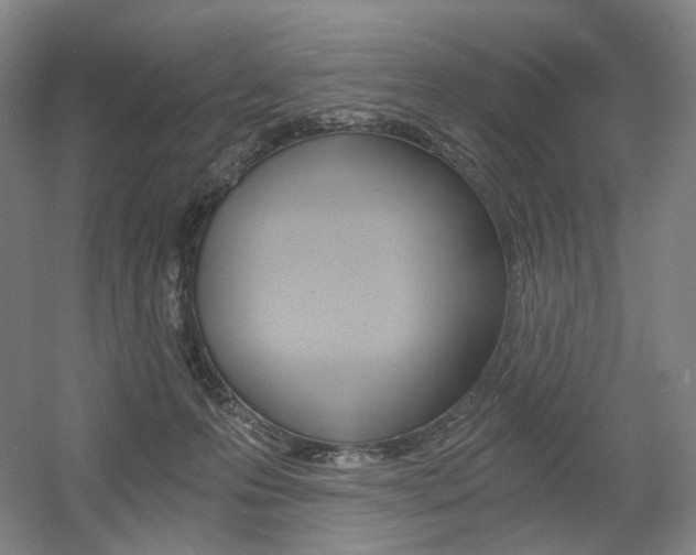 X0000056030223200508191000