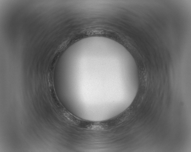 X0000056030224200508191000